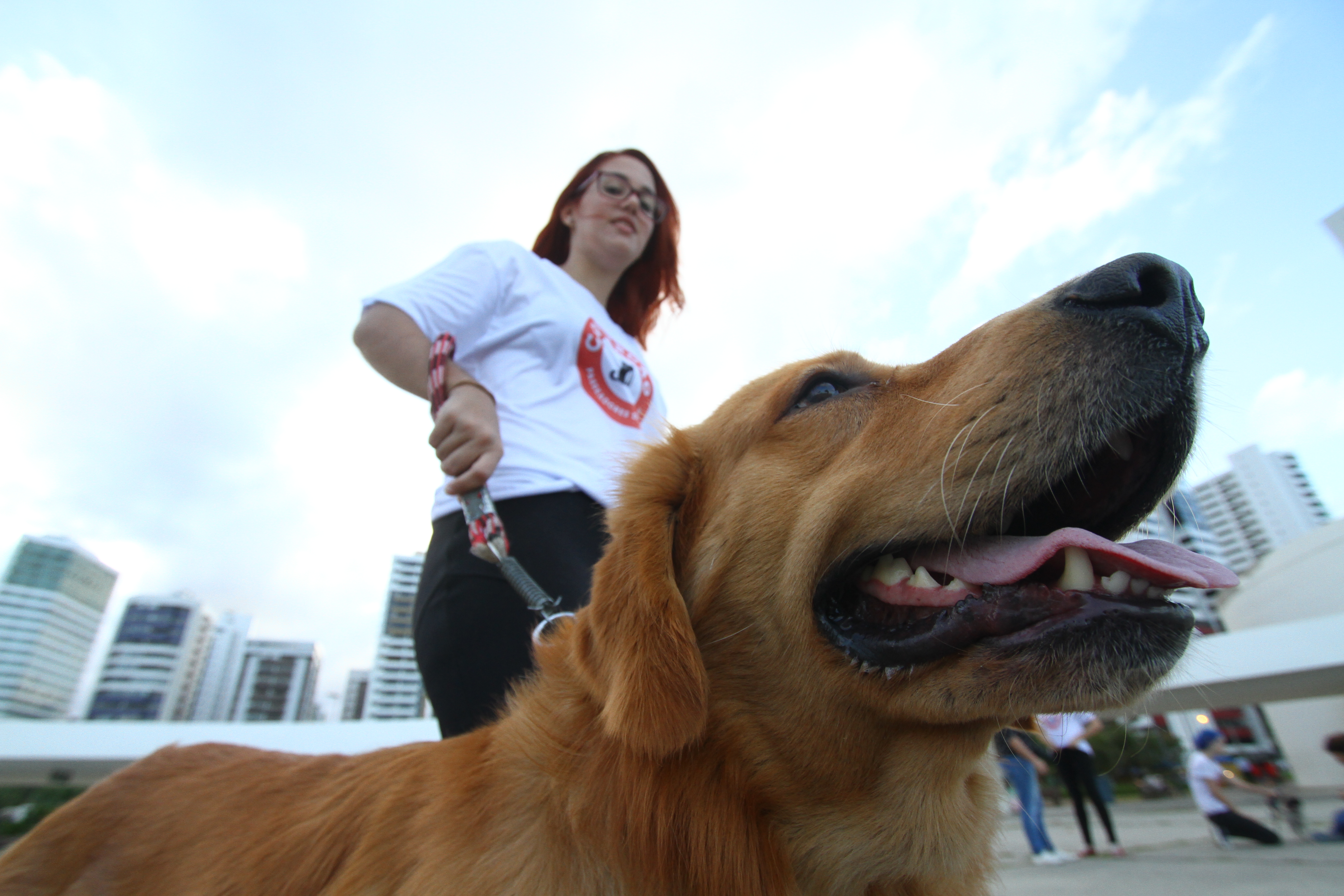 Credito: Rafael Martins/ Esp. DP- BLOG JOAO ALBERTO