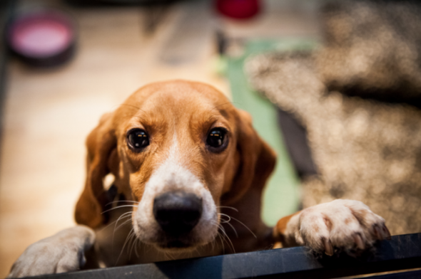 Crédito: Reprodução/ Internet