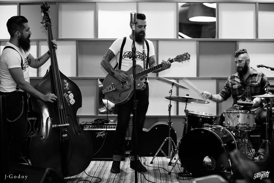 Allycats - Crédito: Reprodução/Facebook