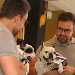 PET Social: “Não consigo me ver sem a companhia de um cão”, diz o chef Kiko Selva