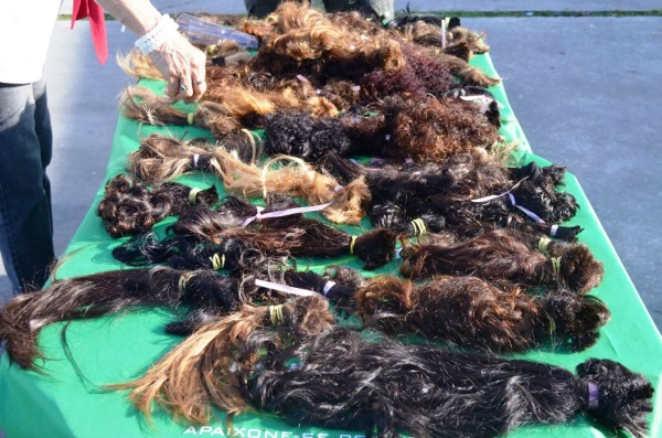 Crédito: Divulgação