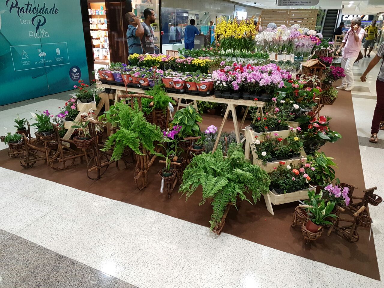 Feira de Flores - Crédito: Divulgação
