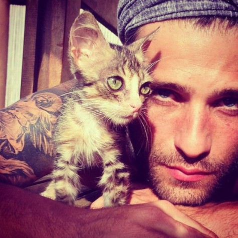 Gagliasso com a gata Sardinha, famosa em Noronha - Crédito: Reprodução do Instagram