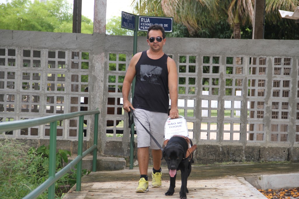 O cão Argos será entregue como cão-guia - Crédito: Divulgação/KCEP