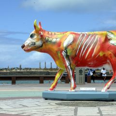 CowParade vai espalhar 55 esculturas de vacas pelo Recife