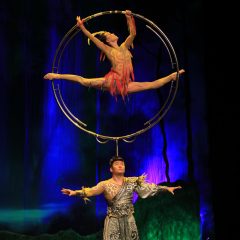Apresentação do Circo da China no Recife é cancelada
