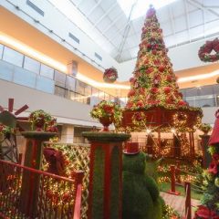Piscina de bolinhas brilhantes, labirinto de espelhos e garra humana no Natal do Shopping Recife