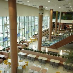 Plaza Shopping investe R$1,9 milhão em comemoração de 20 anos de sua inauguração