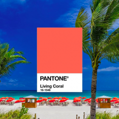 Pantone define a cor para 2019