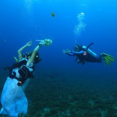 Casamento embaixo d’água é uma das novidades do Expo Fashion Noivas