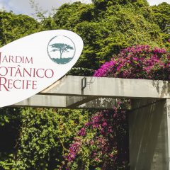 Jardim Botânico do Recife celebra 40 anos com novidades