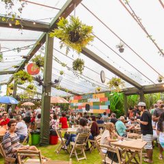 Shows vão animar o último final de semana do Garden Plaza Festival