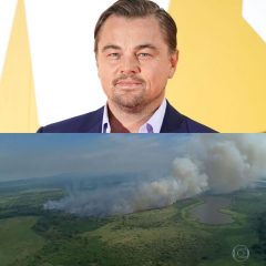 Leonardo DiCaprio vai doar 5 milhões de dólares para ajudar a Amazônia