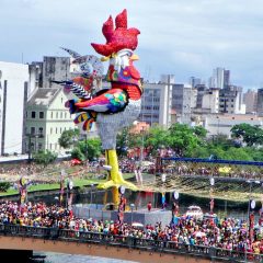 Galo da Madrugada fará primeiro desfile no carnaval de São Paulo
