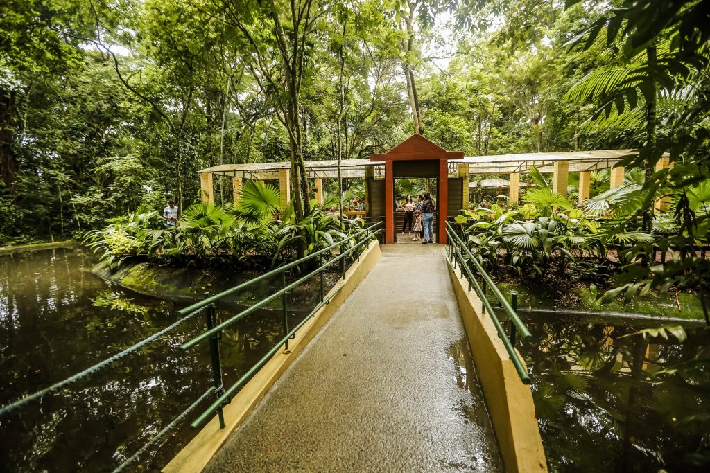 Jardim Botânico do Recife celebra 41 anos com novidades