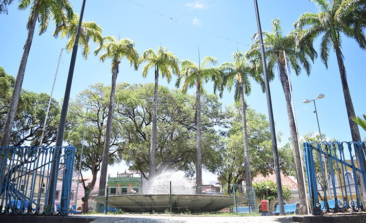 ‘Olha! Recife’ abre vagas para passeios guiados gratuitos a partir da sexta