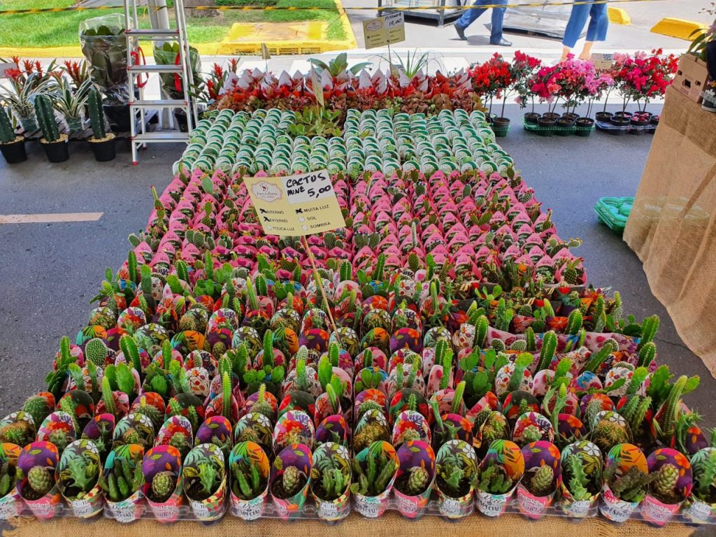 Feira de Flores de Holambra marca o mês das mulheres na Imbiribeira